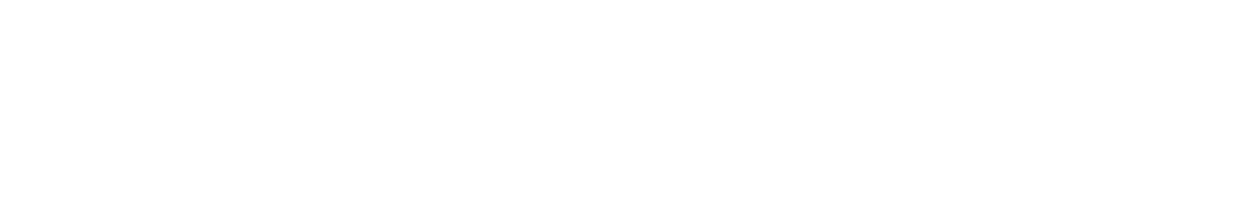 Advanced Flow Technologies Americas